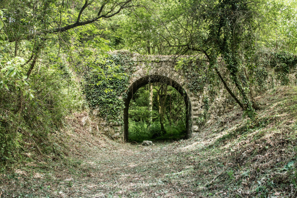 Life Naturaleza Y Biodiversidad Anillo Verde De La Bah A De Santander