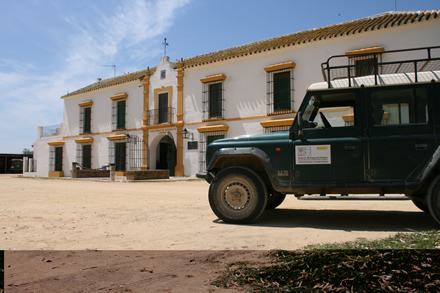 SISTEMA DE LOCALIZACIÓN AUTOMÁTICA DE FAUNA SILVESTRE