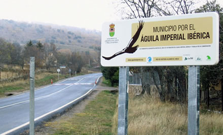CONSERVACIÓN DEL ÁGUILA IMPERIAL IBÉRICA