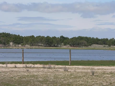RESTAURACIÓN DE LAS LAGUNAS DE CANTALEJO