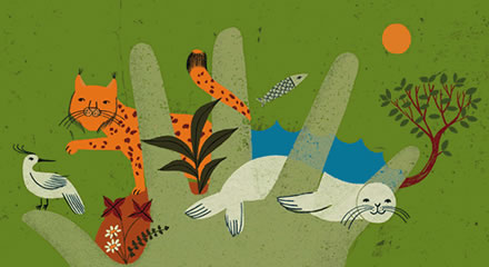 CONFERENCIA 'META Y VISI&Oacute;N POST 2010 EN MATERIA DE BIODIVERSIDAD'