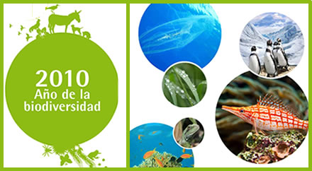 BIODIVERSIDAD VIRTUAL