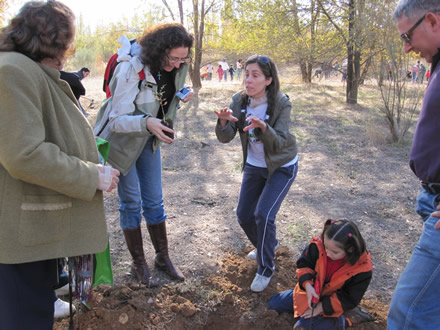 DÍA DE LA REFORESTACIÓN