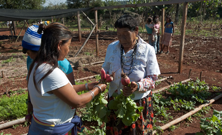 PROYECTO CON COMUNIDADES LOCALES DEL NORTE DE ARGENTINA