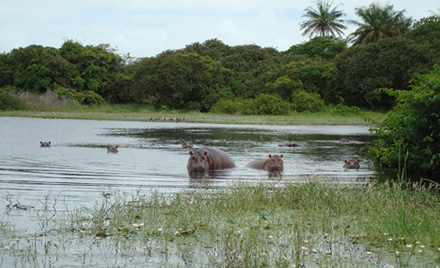 DESARROLLO SOSTENIBLE EN EL PN DE ORANGO (GUINEA-BISSAU)