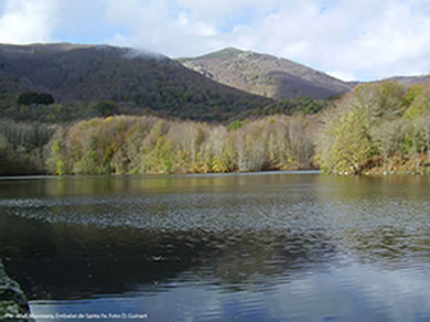 Parque Natural-Reserva de Biosfera del Montseny