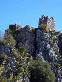 Ceder, Serranía de Ronda