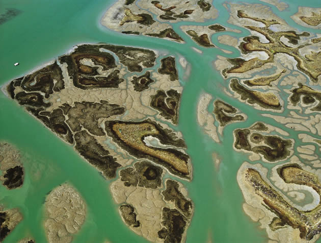 Plataforma Biodiversia. Parque Nacional de la Bahía de Cádiz. © Alejandro Asesio Guimeral