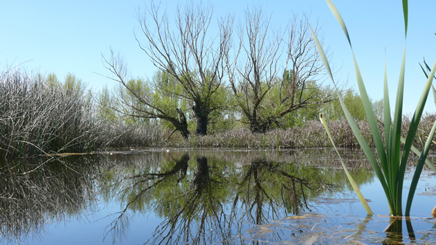 Canal de Castilla