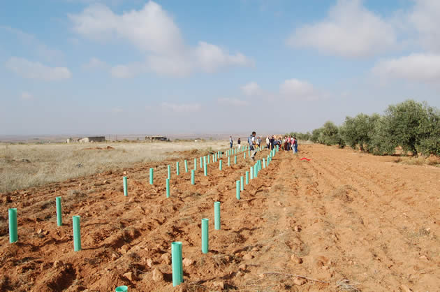 Árboles, Custodia del Territorio y Voluntariado