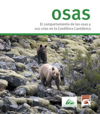 Osas