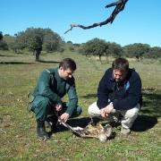 043 LIFE  Veneno Milanoreal Extremadura