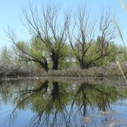 015 canal castilla Eduardo Soto-Largo