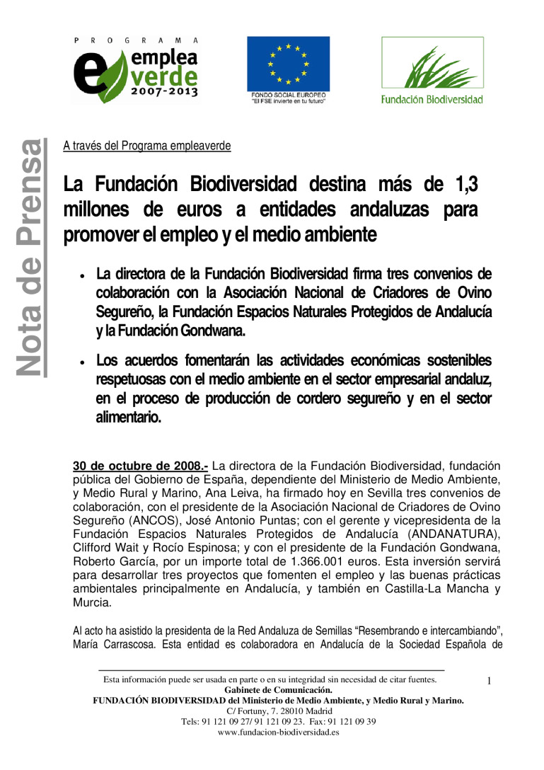 miniatura pdf