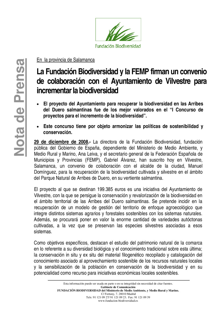 miniatura pdf