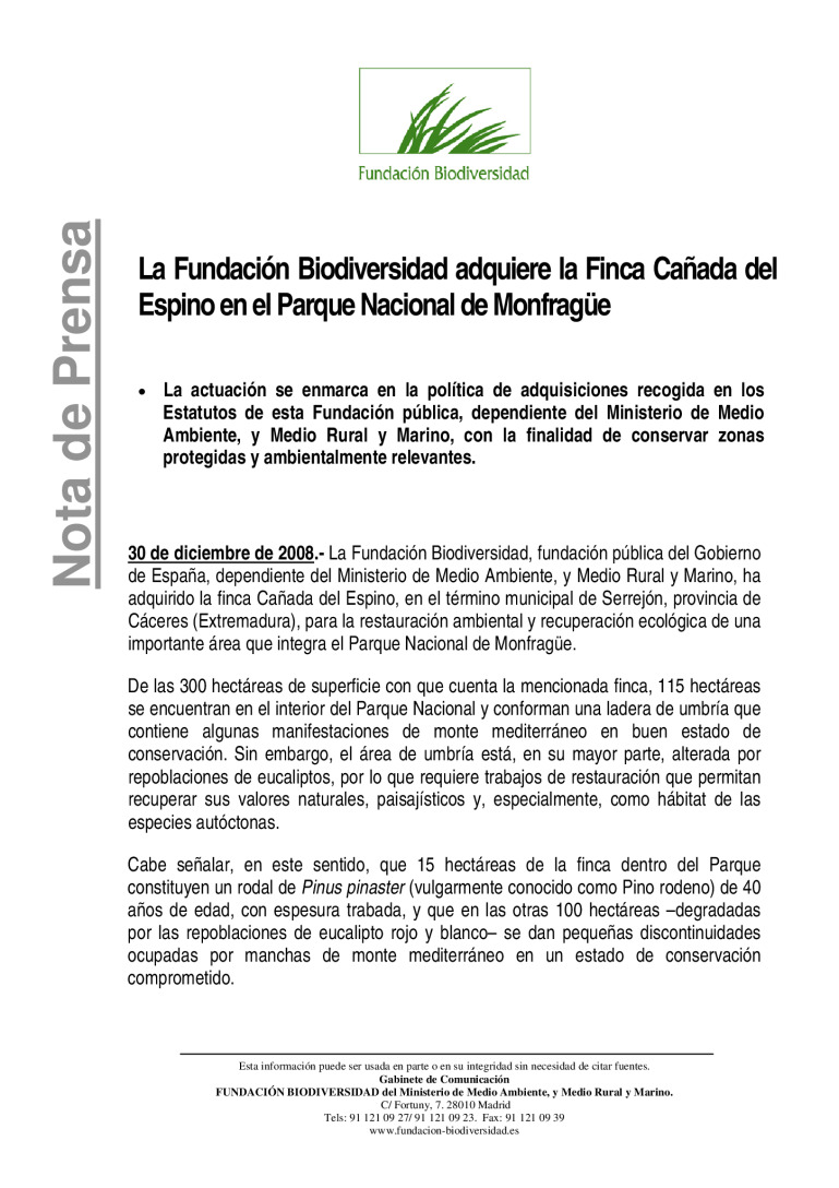 miniatura pdf
