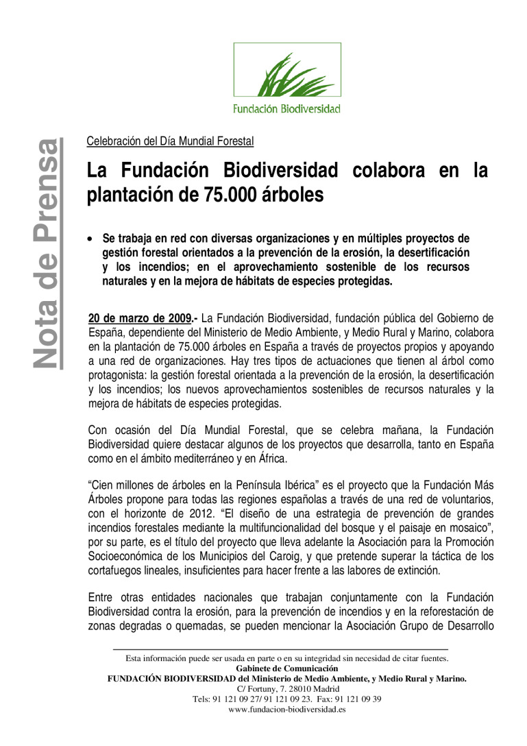miniatura pdf