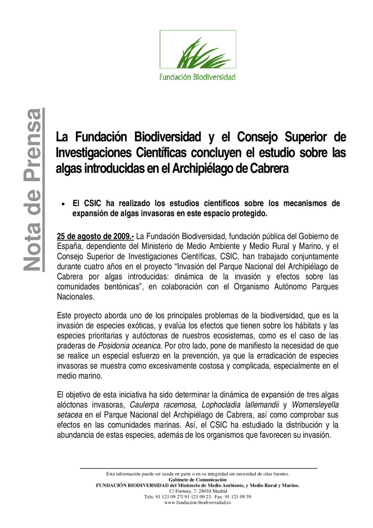 miniatura pdf