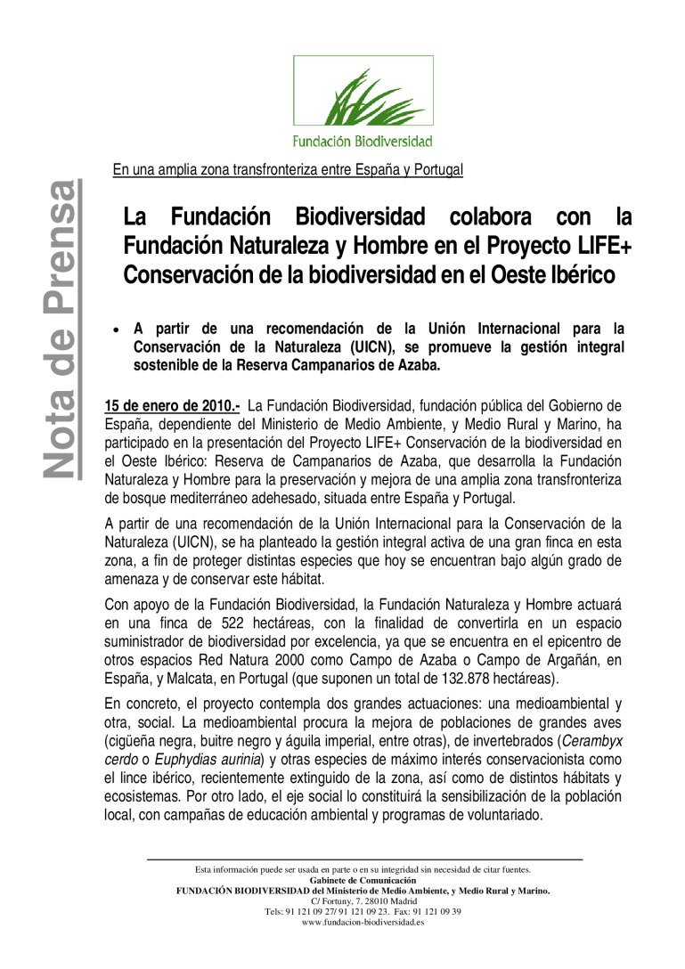 miniatura pdf
