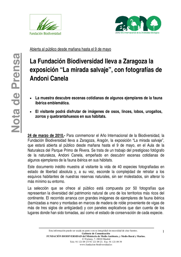miniatura pdf