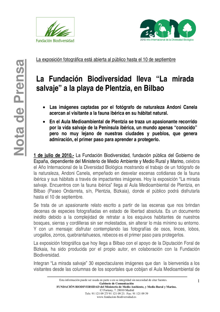 miniatura pdf