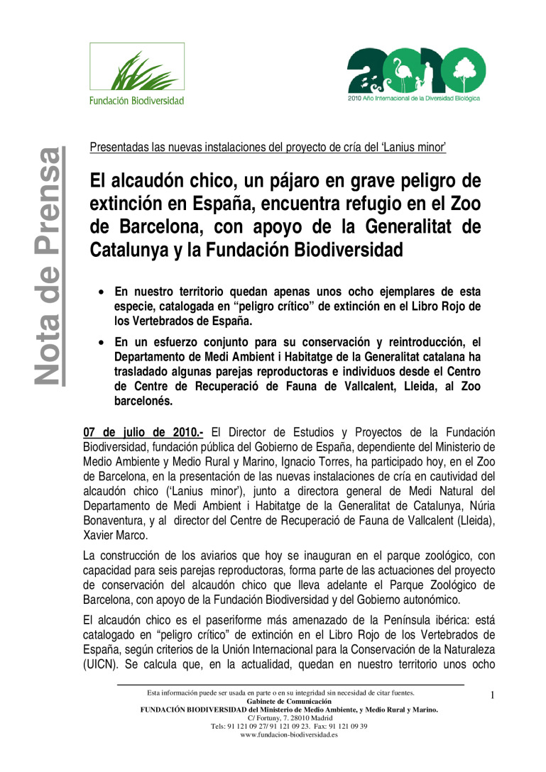 miniatura pdf