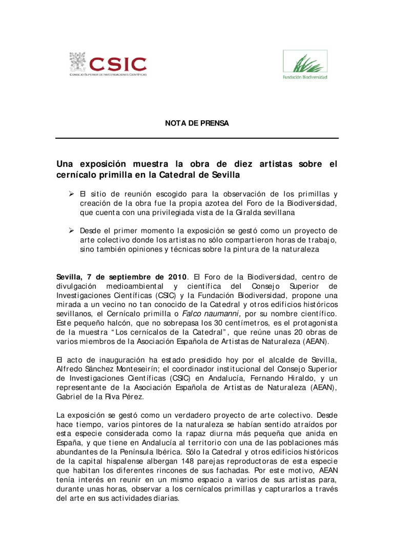 miniatura pdf