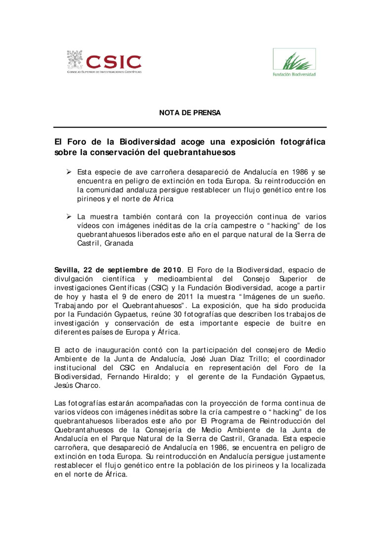 miniatura pdf