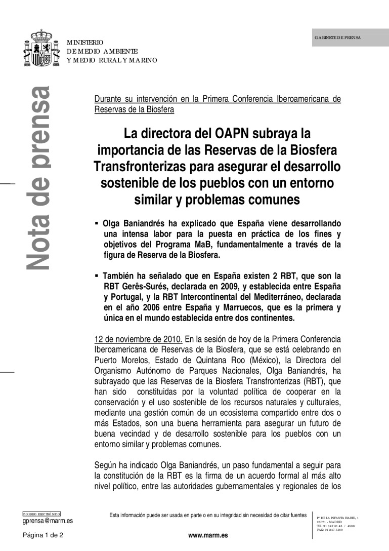 miniatura pdf