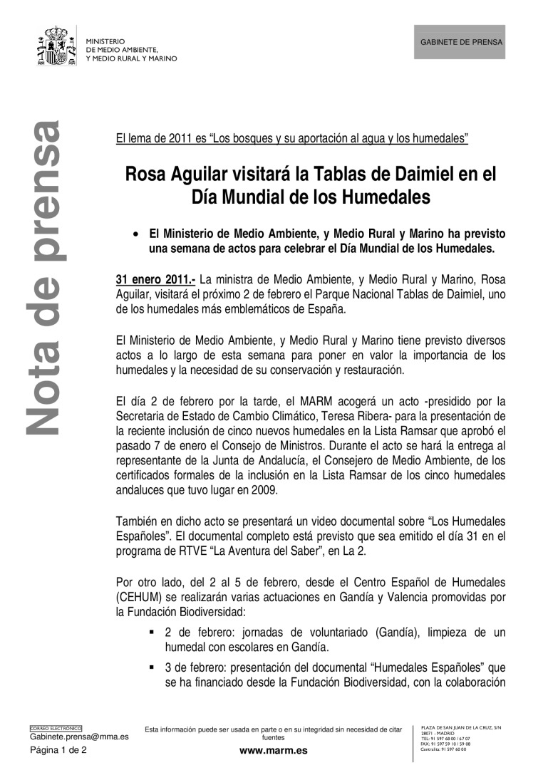 miniatura pdf