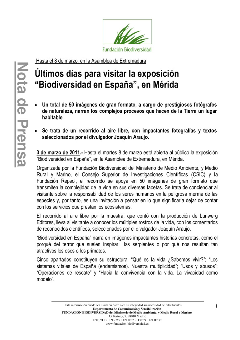 miniatura pdf