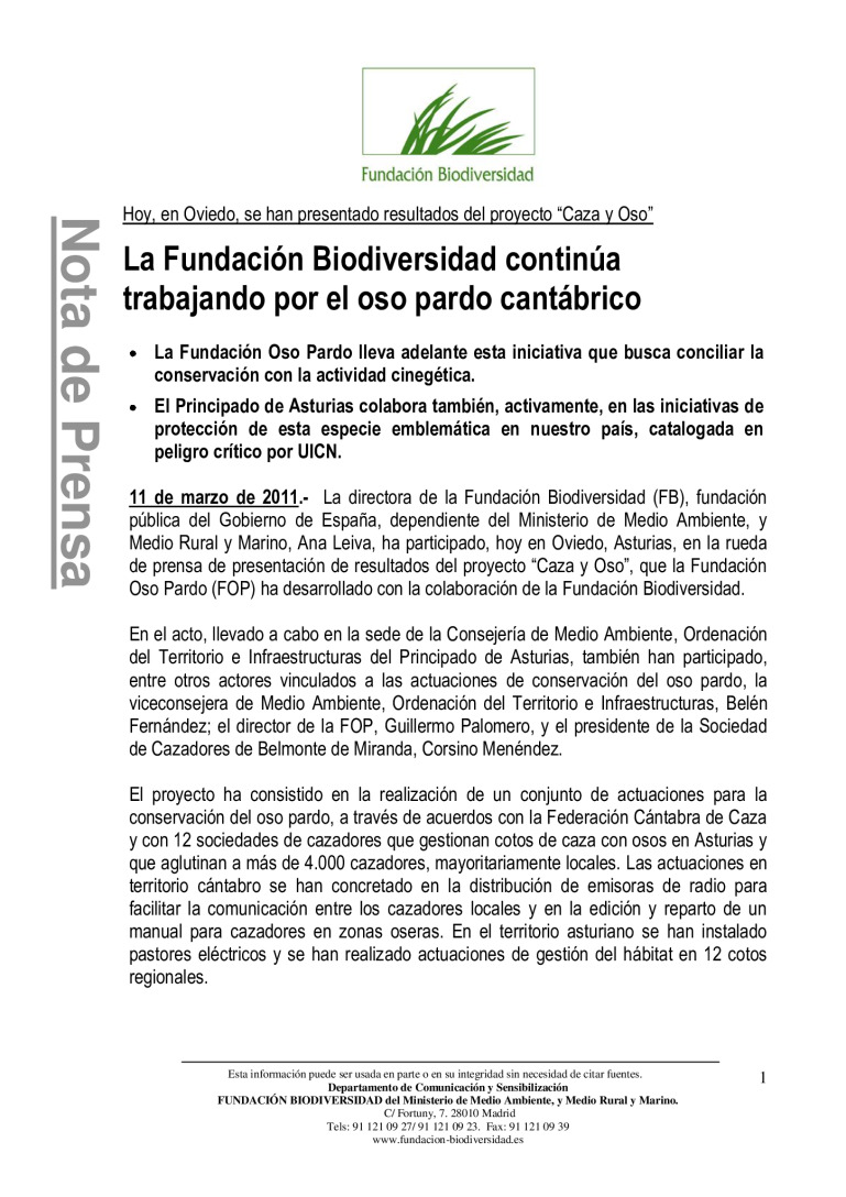 miniatura pdf