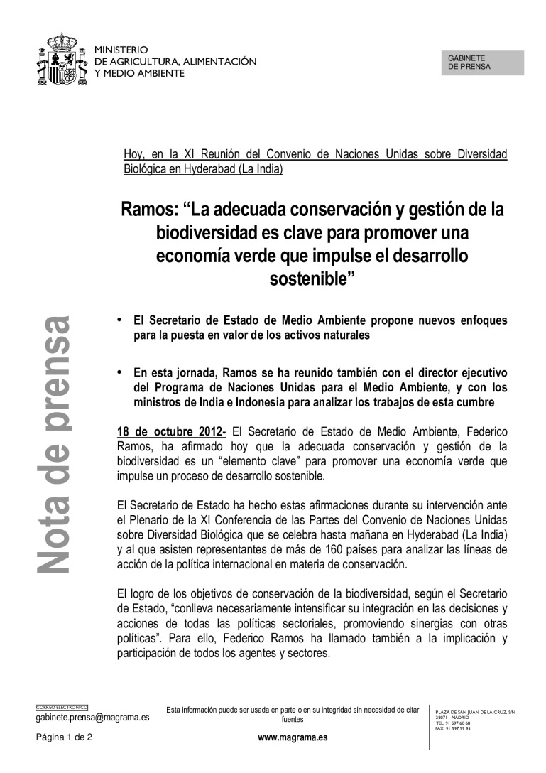 miniatura pdf