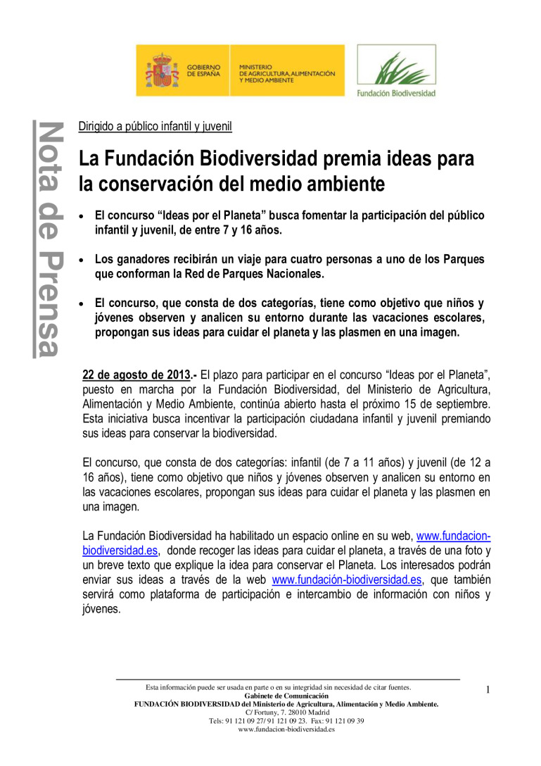 miniatura pdf