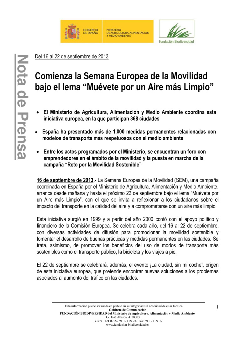 miniatura pdf