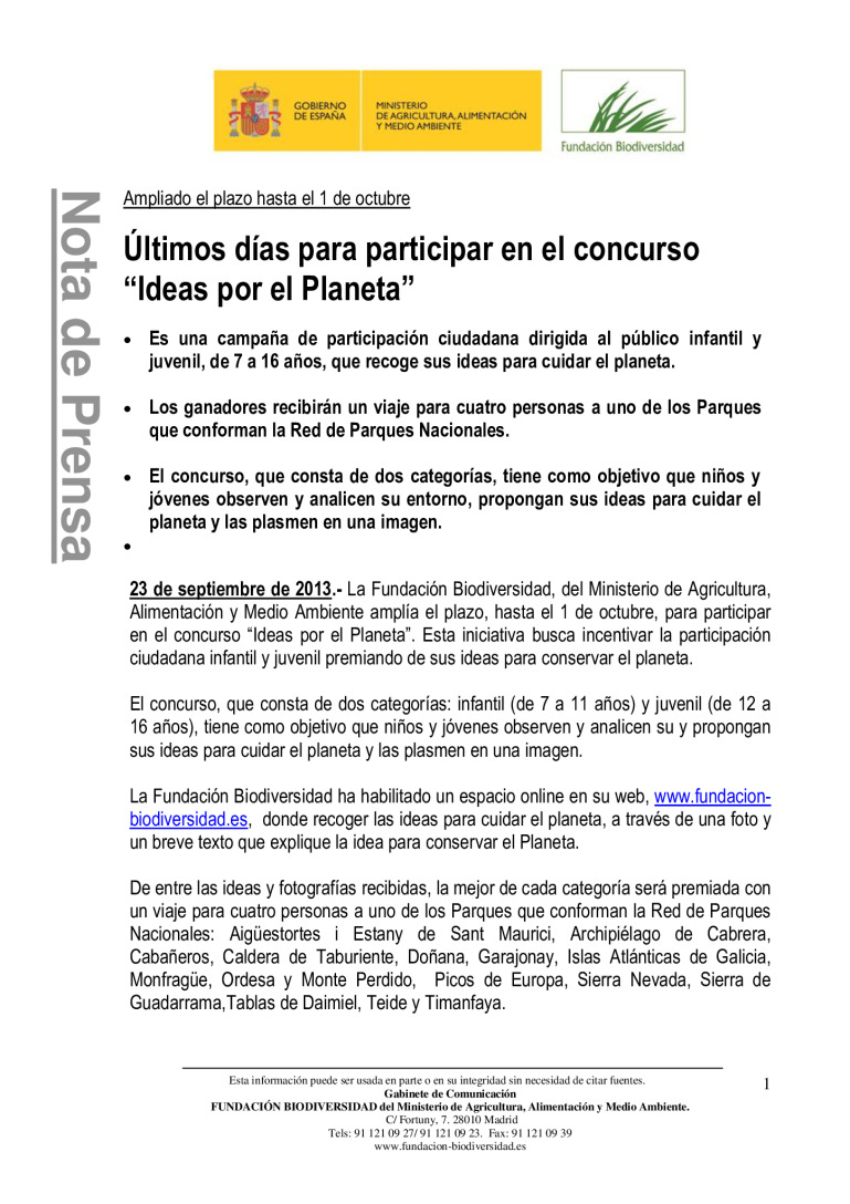 miniatura pdf