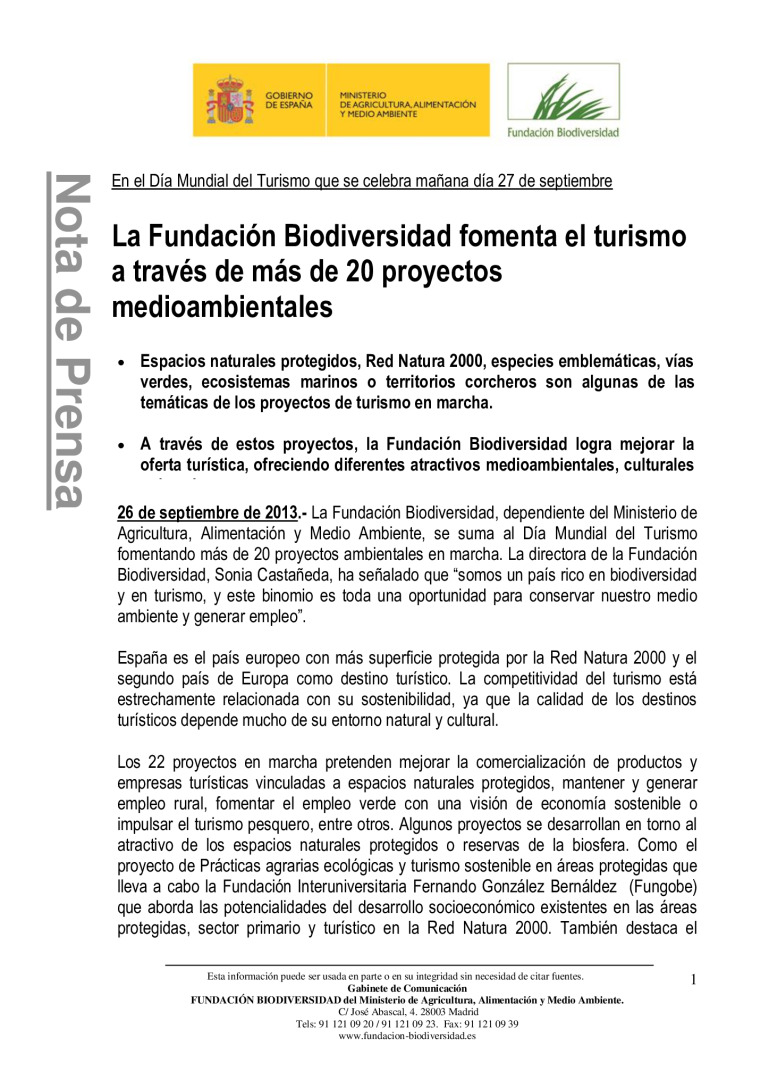 miniatura pdf