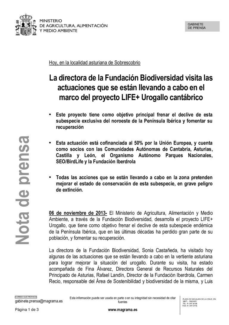 miniatura pdf