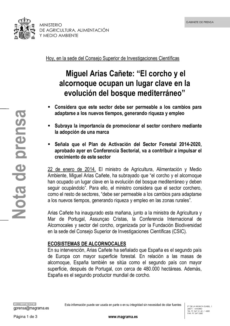 miniatura pdf