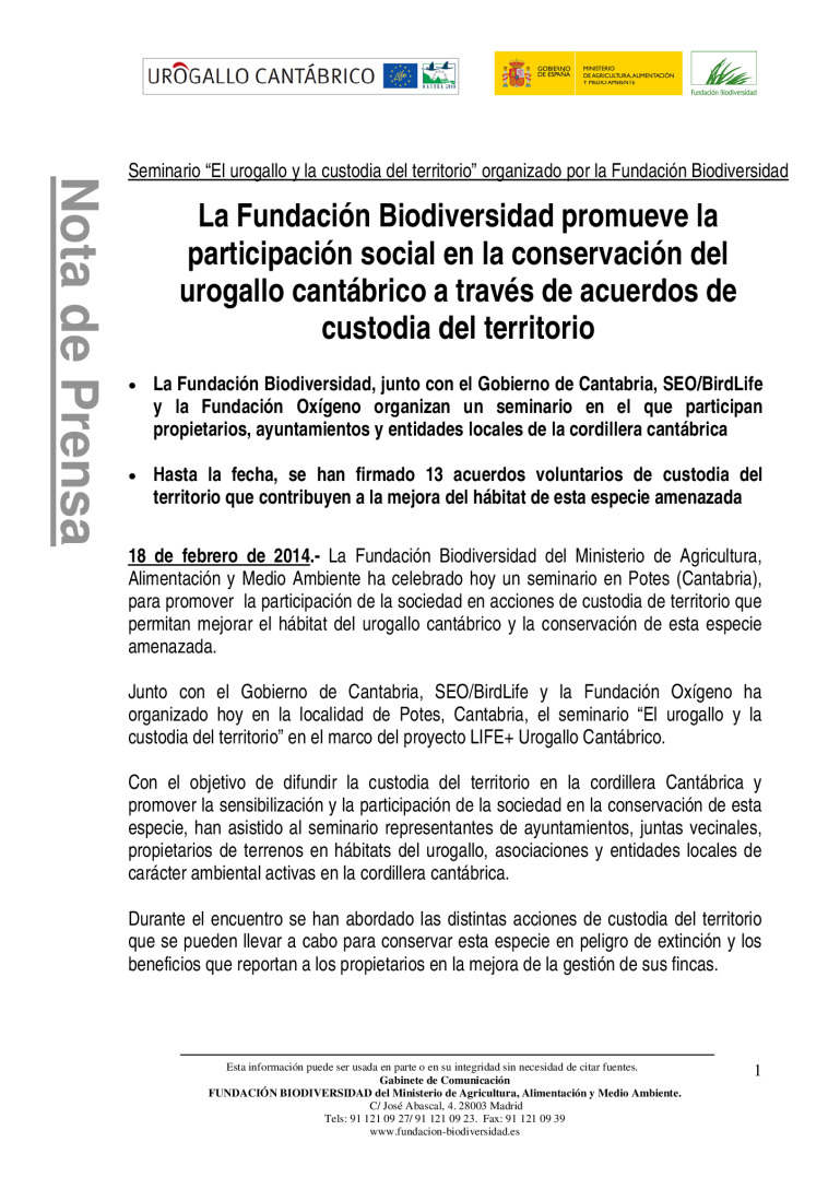 miniatura pdf