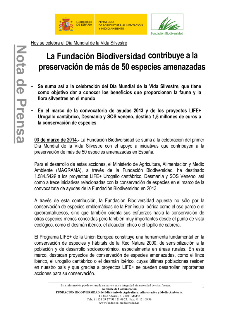 miniatura pdf