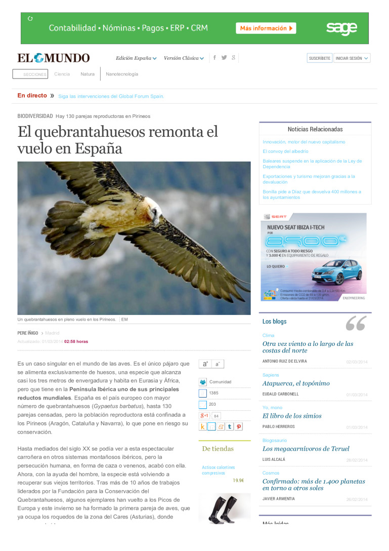 miniatura pdf