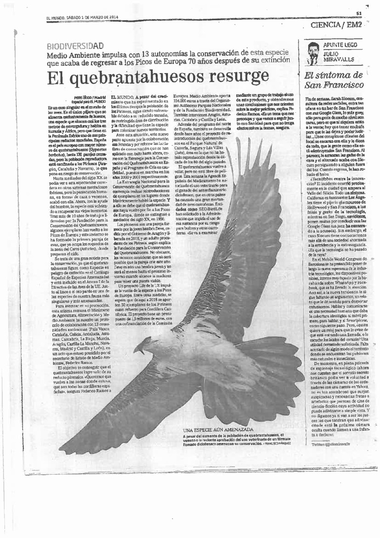 miniatura pdf
