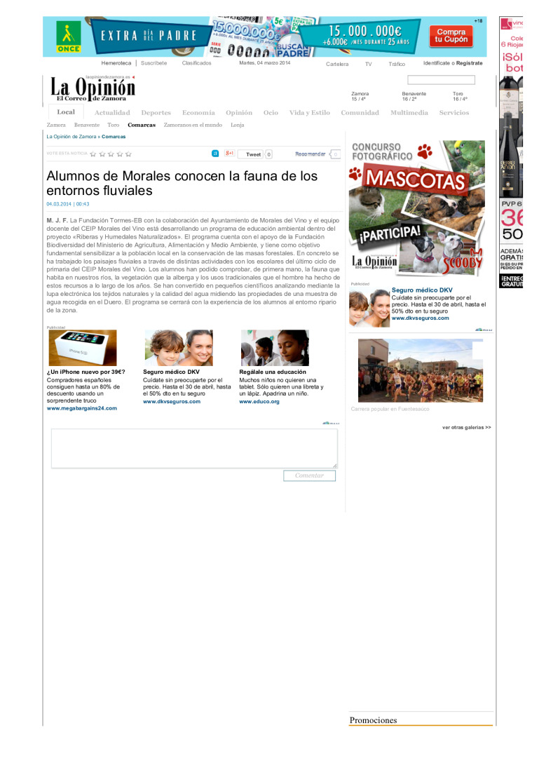 miniatura pdf