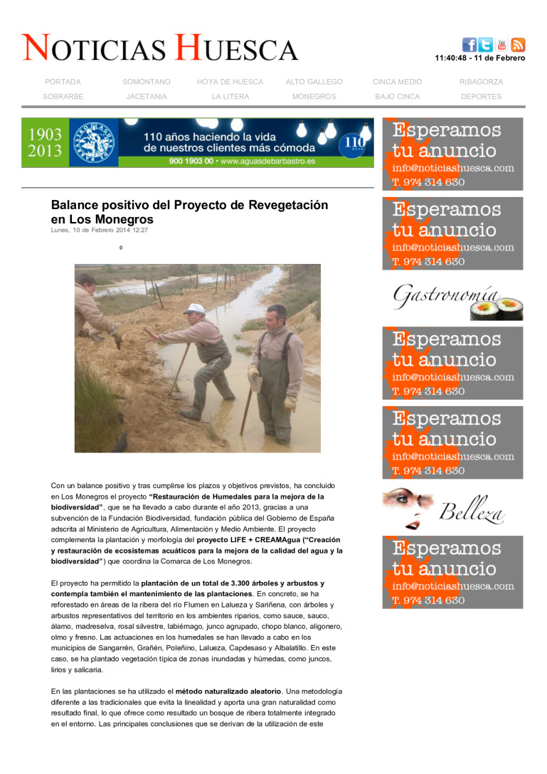 miniatura pdf