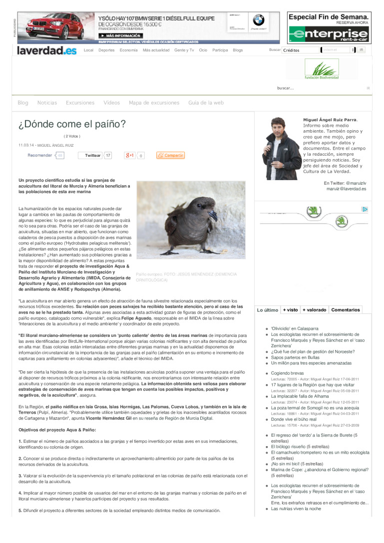 miniatura pdf