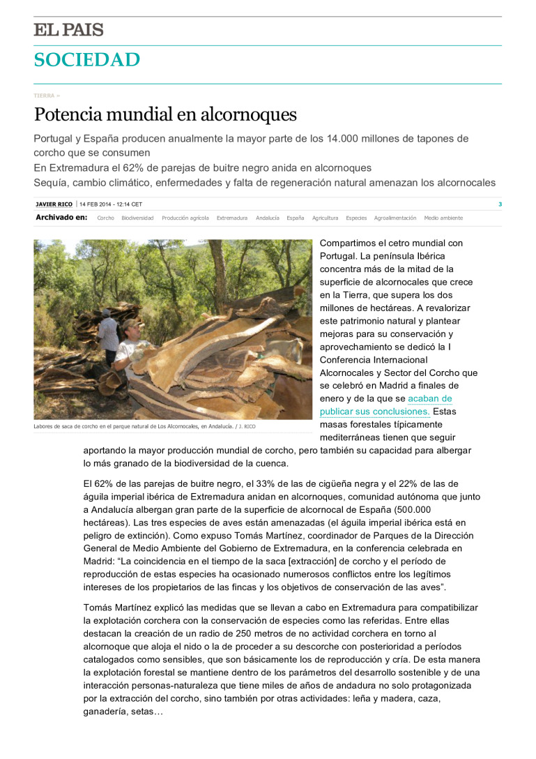 miniatura pdf
