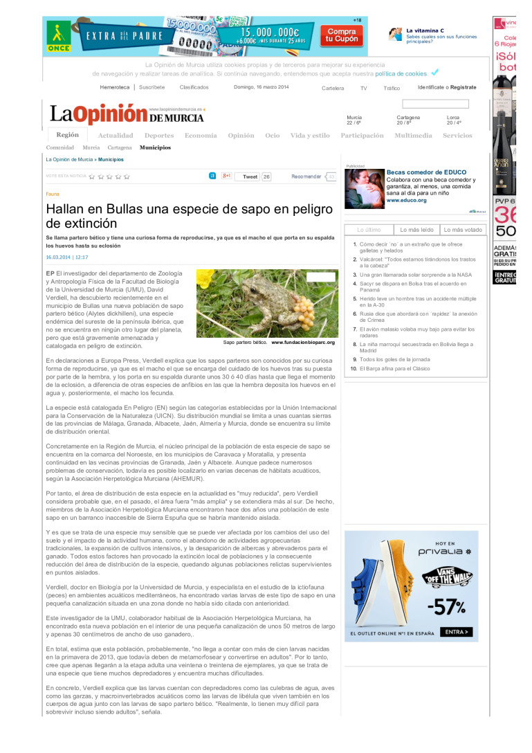 miniatura pdf