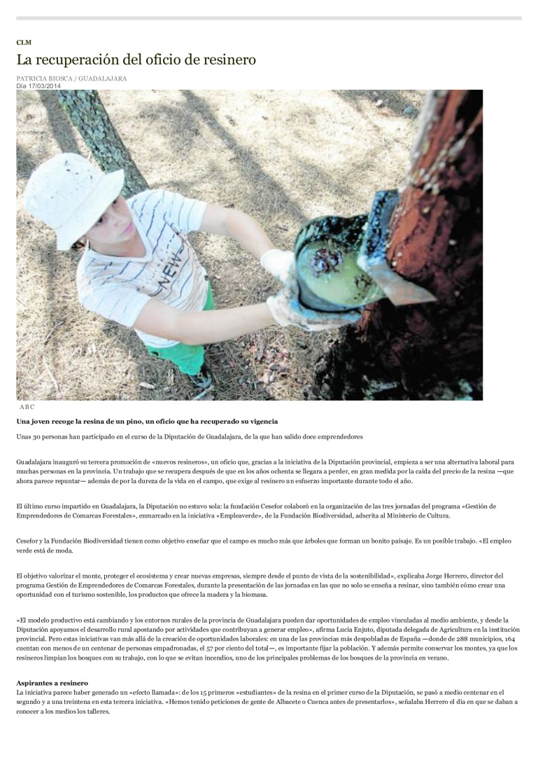 miniatura pdf