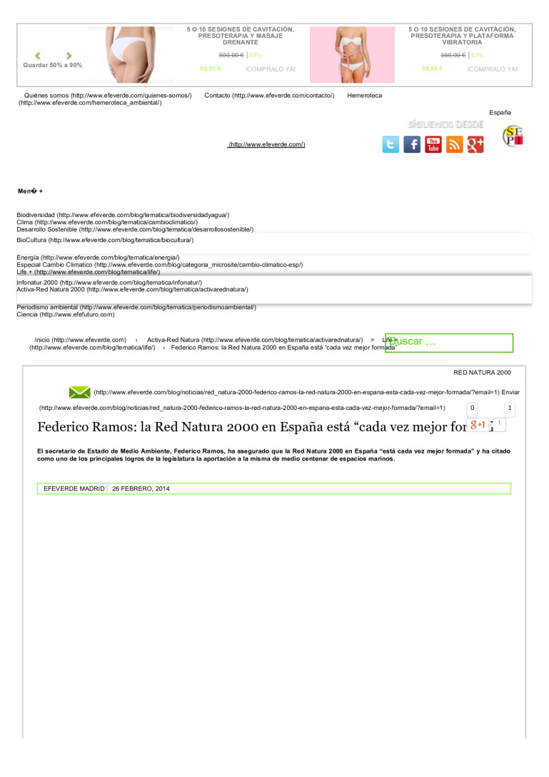 miniatura pdf